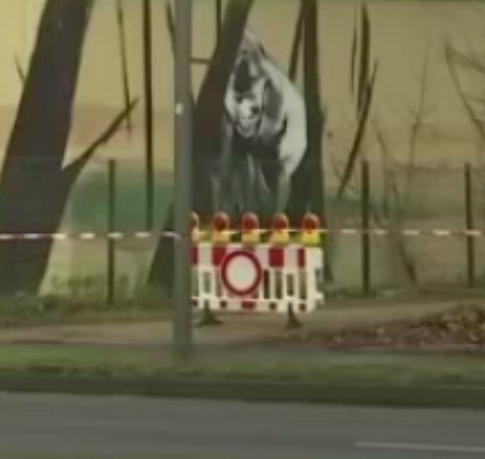 Brand im Affenhaus des Krefelder Zoos Web-de-video_sek_35