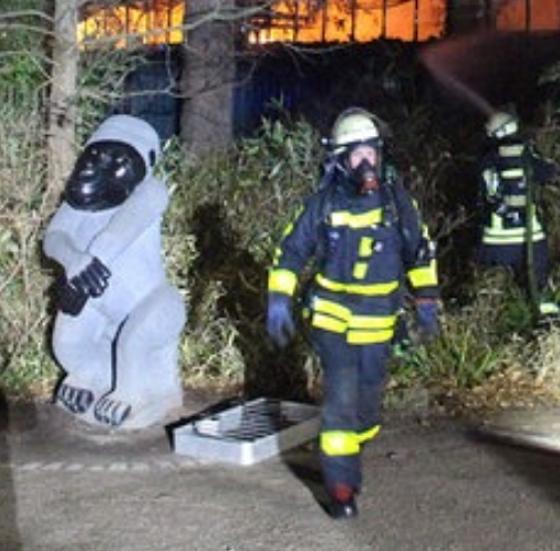 Brand im Affenhaus des Krefelder Zoos Affenstatue