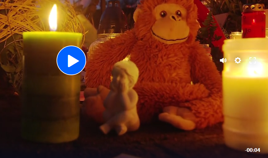 zookrefeld - Brand im Affenhaus des Krefelder Zoos Tagesschau-kinderstatuette